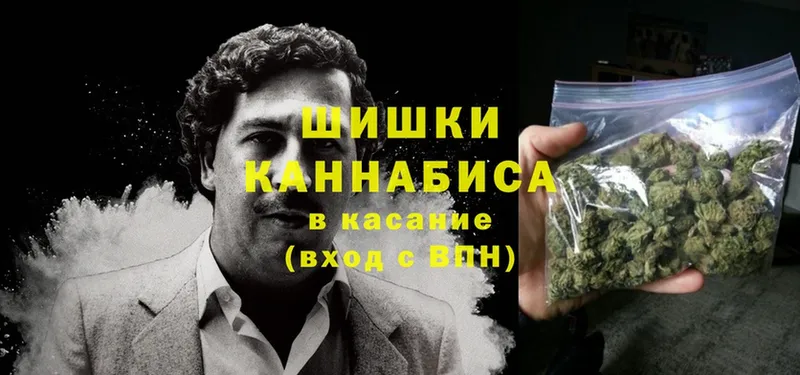 купить закладку  Горячий Ключ  Конопля OG Kush 